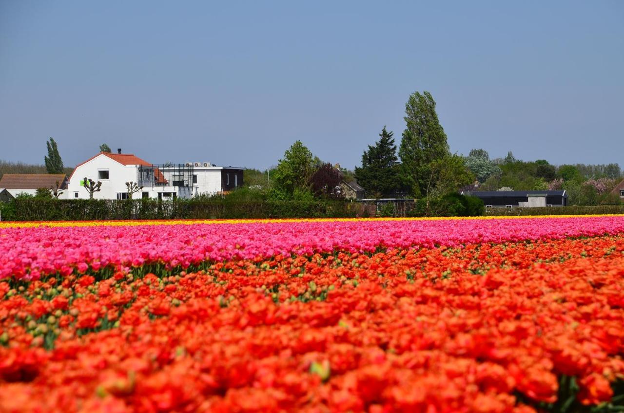 Wellness Bed & Breakfast Pergamo Voorhout Exteriör bild