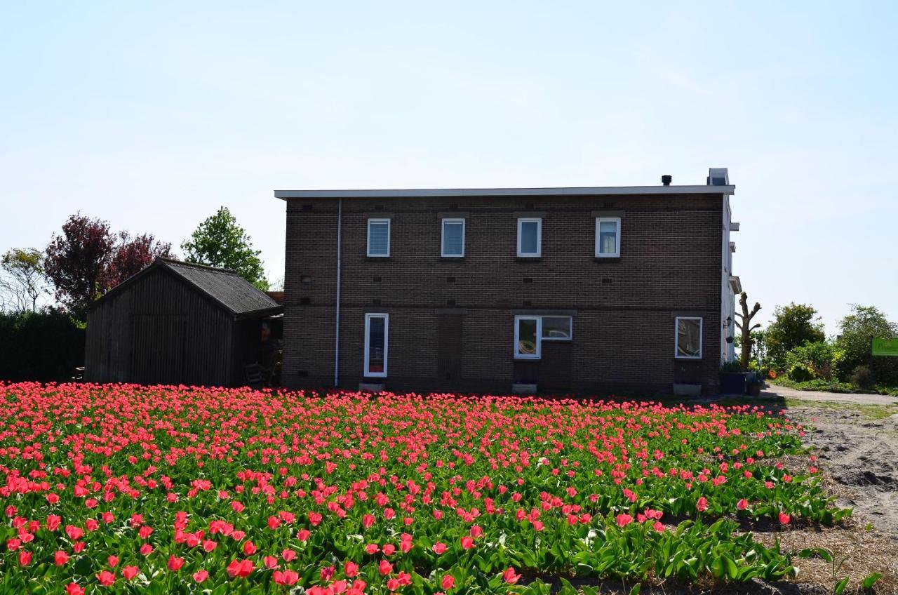 Wellness Bed & Breakfast Pergamo Voorhout Exteriör bild